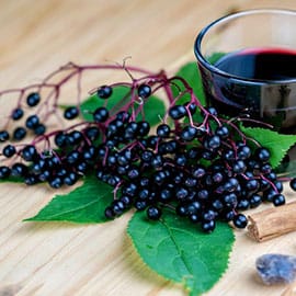 Elderberry