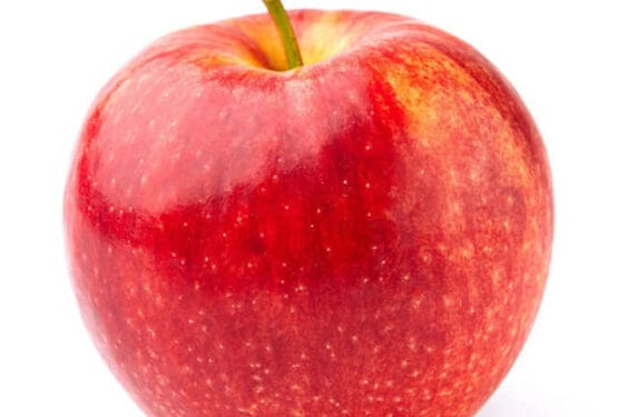 East Coast Small Sole Fish